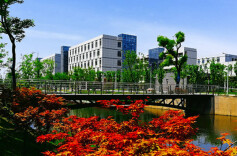 对接低空经济新赛道 常德技师学院推进无人机人才培养创新实践