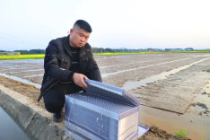 常德“新农人”陈帅宇荣获2026年度中国青年五四奖章