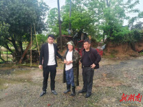 随手盗走景观茶花？邵阳县公安快速出击，盗贼落网！