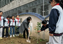 吉首市第三小学：植桑践劳 科普启智