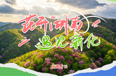 花开湖南⑰｜遇见新化：十里杜鹃枕霞光