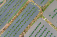 “黄鳝被喂避孕药”，谣言不能再传30年