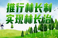道县推深林长制改革 促进高质量发展