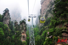 杨家界索道公开招聘特种设备作业人员