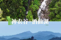 视频 | 五一去哪儿？“神农谷+酒仙湖” 快乐不重样