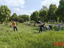 嘉禾县塘村镇：文明实践暖人心 环境整治显实效