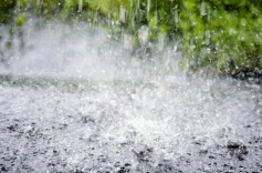 湖南天气：暴雨+降温！最低气温16℃，局地阵风8～10级