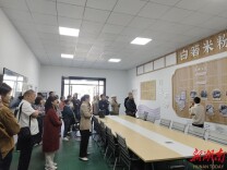 银谷国际社区赴白箬铺镇开展基层治理专题学习 