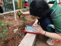 长沙市盼盼第二小学：科技赋能劳动教育 智慧耕耘助力成长
