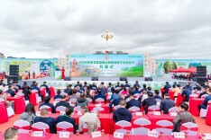 2026茶祖节暨湖南沅陵碣滩茶文化旅游节开幕