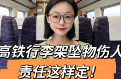 头顶悬“炸弹”？高铁行李架坠物伤人，责任这样定！︱生活有说“法”·金燕之谈