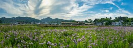 旅发大会·湘潭相会㉒丨撒欢杨梅洲，何时能“撒欢”？别急！进度超90%了！