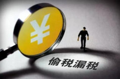 芙蓉国评论｜网红白冰偷税被罚：税务性质造假，就应该查一个罚一个