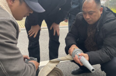 从一校先行到全城覆盖，校园义务消防力量显担当
