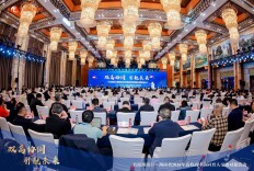 百校联动！湖南2026高校高中协同育人对接会解锁育人新范式