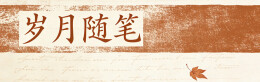 岁月随笔⑧丨静夜思