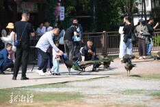 旅发大会·湘潭相会⑳丨80多名记者齐聚湘潭，他们到底来看什么？