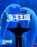 【长沙剧好看】景随戏动的行浸式体验
