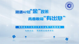 湘遇42号“金”政策，青春敢闯“有出息”