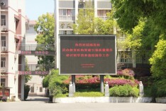 党建引领促提质，雅思深耕绽荣光