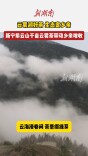 云雾润好茶 生态富乡亲！新宁紫云山千亩云雾茶带动百余人增收