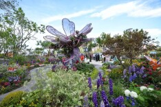 北京国际花展开幕，超1000种主流及珍稀花卉亮相