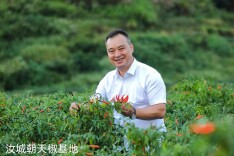 黄惠明：中国湘菜非遗技艺“太阳味”风味湘菜的形成、食材分类与经典食谱