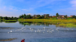 散文｜田华：谷雨沅江绿如蓝