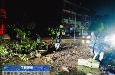 闻令而动除险情 高效抢通护平安——茶陵思聪街道成功处置树木倒伏突发事件