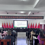 下沉服务“零距离”，惠农政策“接地气”——湖南农担长沙市分公司走进宁乡乡镇开展惠农宣讲