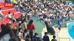 “五一”假期，长沙海底世界共赴蔚蓝狂欢