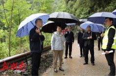 桑植县：黄瑛调研防汛备汛工作