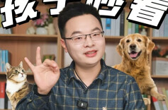 少年心事㊽丨孩子想养宠物？先体验再决定，爱心责任两不误