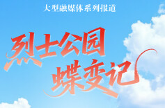 烈士公园蝶变记