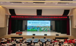 娄底城管在全省城市更新培训班分享经验