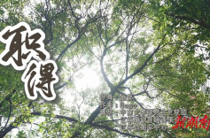 唱响五四青春之声：每一份努力都“职”得被看见