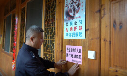 绥宁县：多部门联合检查 守护野生动植物资源