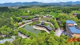 鹤城区：乡村玫瑰园盛放  赴一场春日浪漫之约