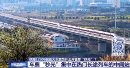 火车票为什么开售即“秒光”？车票如何分配？国铁集团回应