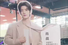肖战人形立牌太吸睛，高颜值尚界Z7试驾体验火爆