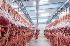 四部门：开展冻猪肉商业储备收储，促进市场平稳运行