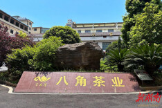 八角茶业：15吨新茶饮基底茶整装待发