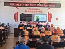 武冈：青春护绿进乡村  多方联动护生灵