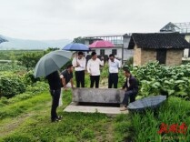 管好“钱袋子” 盘活“家底子 ”郴州北湖区“三资”专项整治绘就乡村振兴好风景