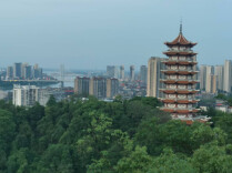 致敬英雄