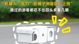 橘洲版机器人“瓦力”来了 “呆萌”外表下藏着一身本领
