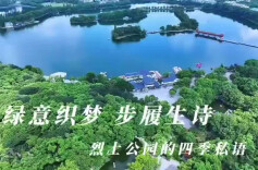 视频｜烈士公园“新八景”