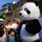 “活力五一・乐动宝庆”：萌趣熊猫人气爆棚