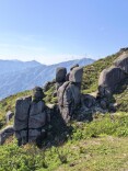 散文丨扶苍山记