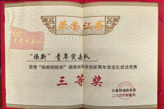 乘创新突破之势，走焕新发展之路——这支邵阳青年突击队获省级大奖